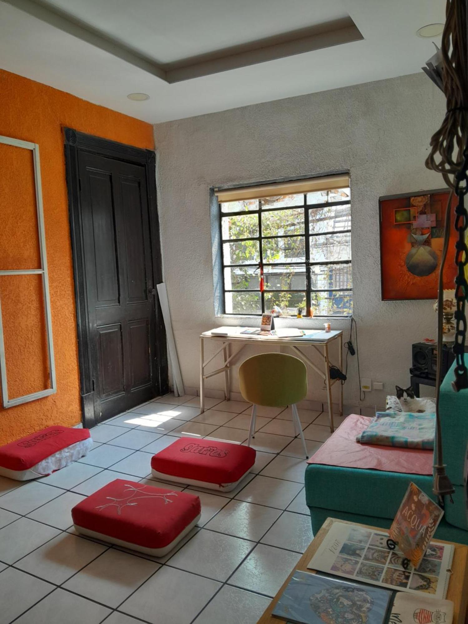 En Casa Rustica En Colonia Roma Norte Homestay Mexico City