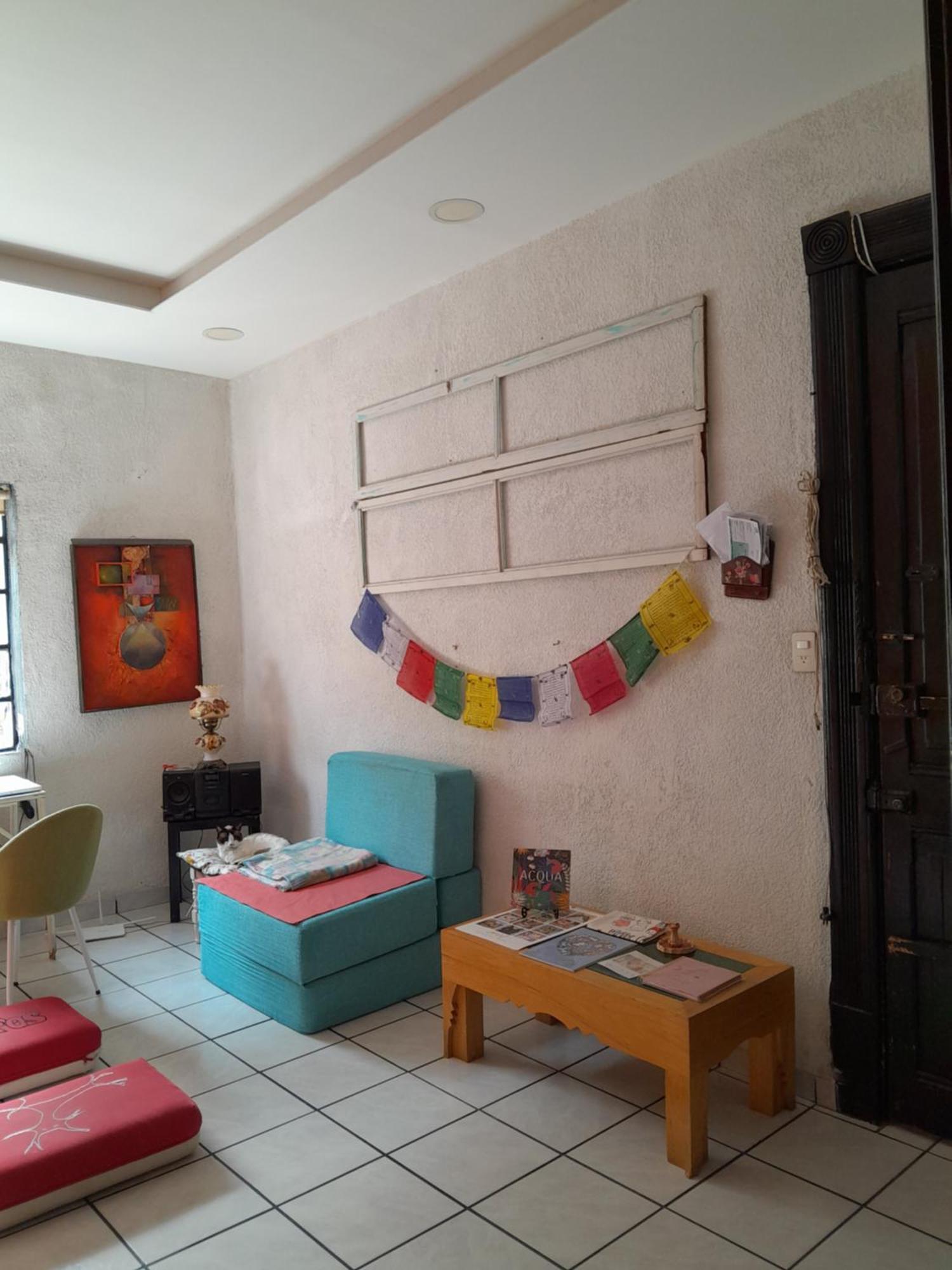 En Casa Rustica En Colonia Roma Norte Homestay Mexico City