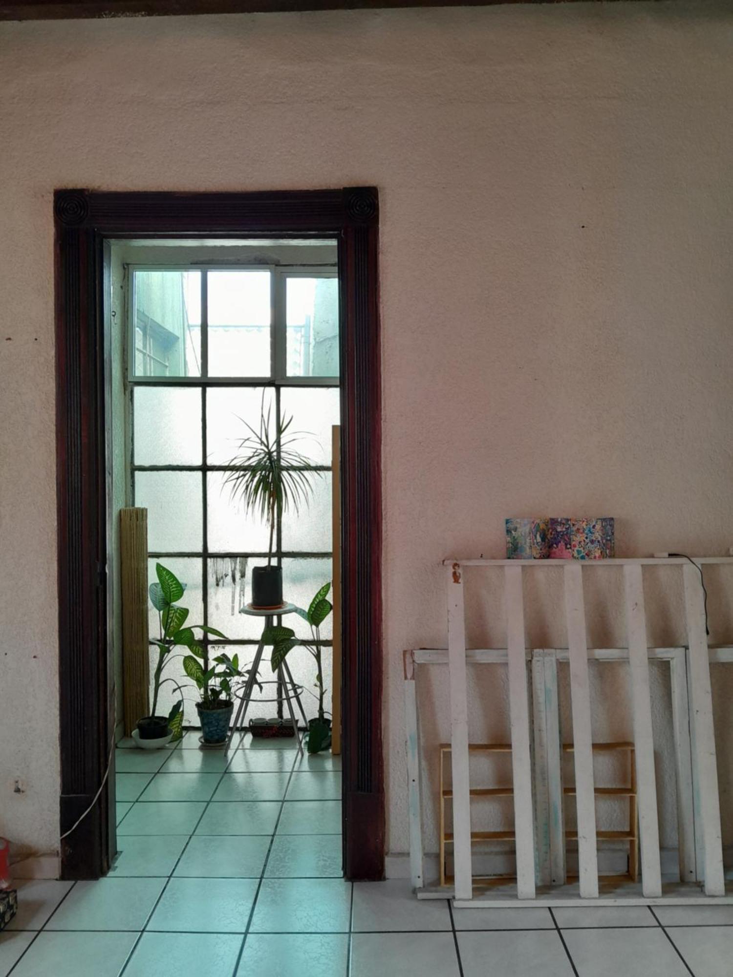 En Casa Rustica En Colonia Roma Norte Homestay