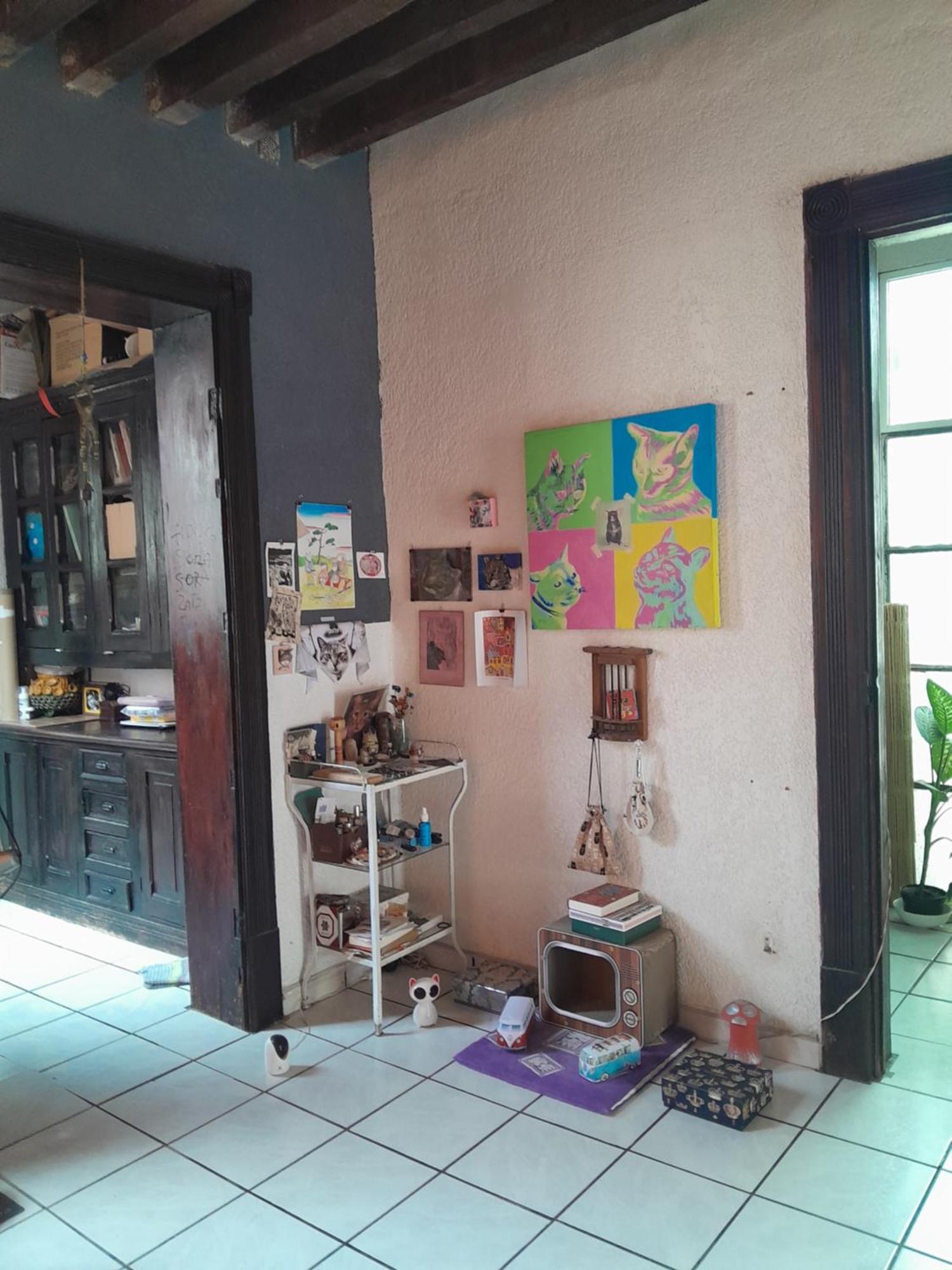 Homestay En Casa Rustica En Colonia Roma Norte